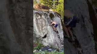 Insanity Later V2 | Gold Bar