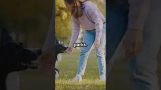 The Most Bizarre Pet Laws Around the World 🐾⚖️