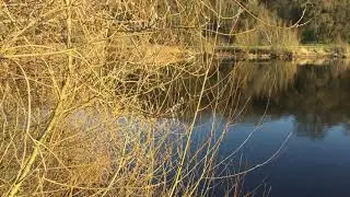 Fiskerton