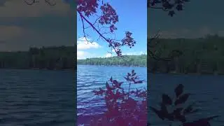 Relaxing Lake Vibes at Gatineau Park in Quebec, Canada. #shorts