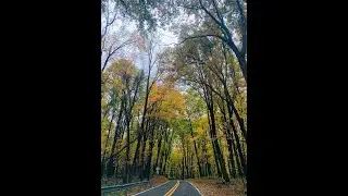 Autumn in usa /West Virginia