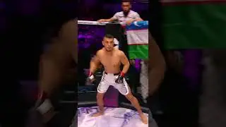 Шоумен Gold #mma #octagon #uzbek