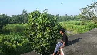 Only video shooting no editing