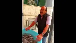 Questa è bari