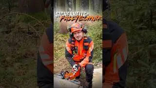 🪓Mach es wie ein Profi! 🪓 Die Sicherheitsf&auml;lltechnik! #forstwirtschaft #waldarbeit #stihl ANZEIGE
