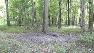 M4H00411.MP4