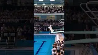 Olympic Cat jump into swimming pool 🐈🐈.. #youtubeshorts #cats #ai #olympics #swimming