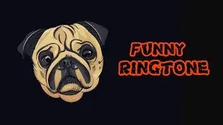 Top 5&nbsp;Best Funny Ringtone For All 2019 🎶🎶🎶