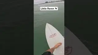 Haydenshapes Little Raven Left #goprosurfing #surfing #surfboards #surf #goprohero12 #waves