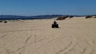 Nico in the Dunes