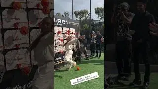 😂Marsai made sure it was a goal😍 @MarsaiMartin @WNBA @shopify #fypyoutube #marsaimartin