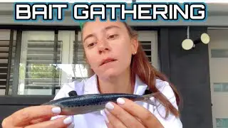 Сбор наживки для летнего рыболовного сезона ☀️🎣