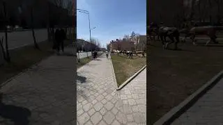 Street walk 🤟beautiful weather 🌈#street #walking #kazakhstan #russia  #viral #nature #shortsfeed