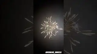 6 inch Shell multi Crackling #shell #fireworks #vuurwerk #diwali