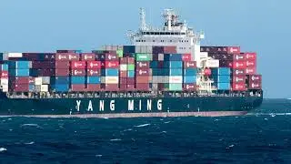Lots of ship movements at Point Lonsdale, two containers ships inbound, one out and a yacht too.
