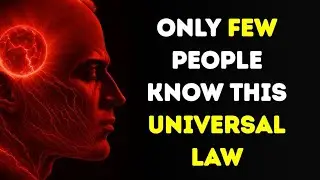 &ldquo;The Law of Assumption Will Change Your Life Overnight (Stop Chasing, Start Becoming)