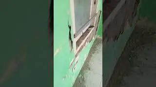 Survei lokasi 