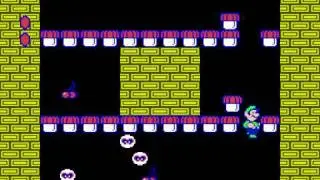 NES Super Mario Bros. 2 