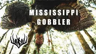 MISSISSIPPI GOBBLER - VICTORY AND DEFEAT - SUBURBAN BOWHUNTER
