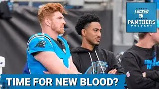 Panthers Set to EXERCISE Bryce Young&rsquo;s Option, But Will They UPGRADE at Backup QB THIS Offseason?