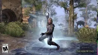ESO Warden - Arctic Wind Ability