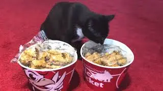 We bought fake KFC wings / Katy & Alaska