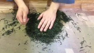 高梨茶園、伝説の茶もみ技「こくり」