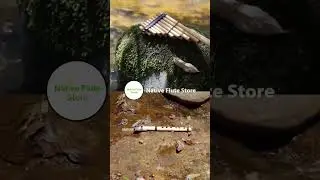 Native Flute Store. www.nativeflutestore.com