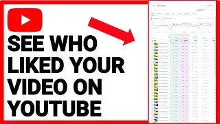 How To See Who Liked Your Video on YouTube