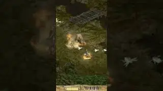 Diablo 2 Zy-el mod 4.8 with my girlfriend Amazon-Barbarian transformation to bear 💪 part  5 👌🍀❤️👍