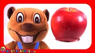 ABC Water WOW Alphabet Letter A Busy Beavers Remixed & Remade