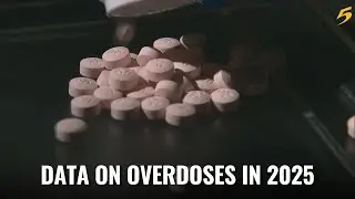 Overdose rates for the 2025 year