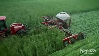 No-Till Regenerative Rice Farming