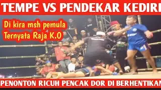 DI KIRA MSH PEMULA TERNYATA RAJA K.O.TEMPE VS PENDEKAR KEDIRI PENONTON RICUH PENCAK DOR D HENTIKAN