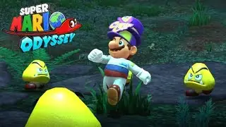 Super Mario Odyssey Secret Area 