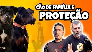 CÃO DE FAMÍLIA E PROTEÇÃO com JAIRO TEIXEIRA