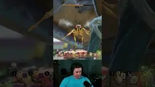 Grounded: First Wasp Encounter