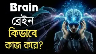 মানুষের মস্তিষ্ক কীভাবে কাজ করে | ব্রেইনের রহস্য জানুন | Brain Function Explained in Bangla