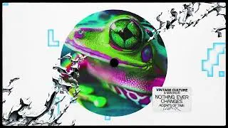Vintage Culture, MAGNUS - Nothing Ever Changes (Agents Of Time Remix)