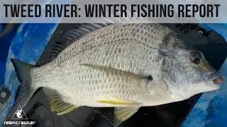 Tweed River Fishing Report for Winter
