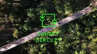 Live Wire Park's Canopy Circuit