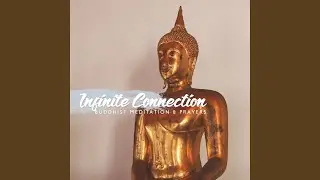 Infinite Connection