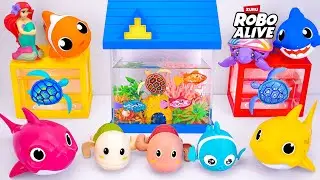 Satisfying With Unboxing Zuru Robo Alive Aquarium With Ariel Toys ASMR 🐊 Review Toy (No Talking)