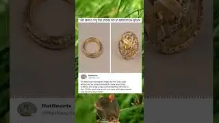 😱🤯16th century ring that unfolds into an astronomical sphere💯😲 #shorts