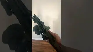 Sig 556 Swat SBR