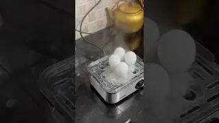Agaro 2 in 1 egg boiler / Tastetours by Shabnahasker