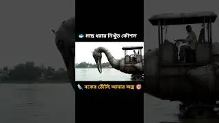 জাল ছাড়াই মাছ ধরা! 😲#shorts