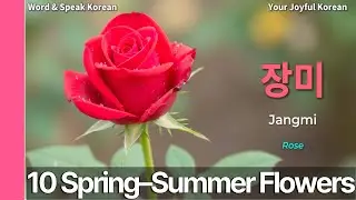 🌸 10 Korean Spring & Summer Flowers + 10 Short Sentences | Word & Speak Korean #3