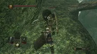 Dark Souls 2 - Lion Clan Warrior (Axe, Shield)