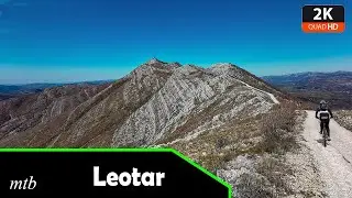 Biking: Leotar